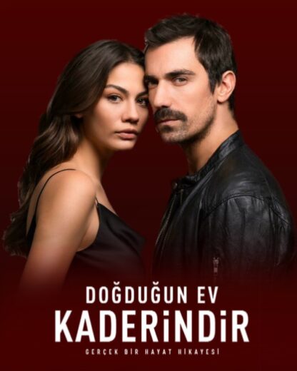 مسلسل منزلي مدبلج الموسم 1 الحلقة 41
